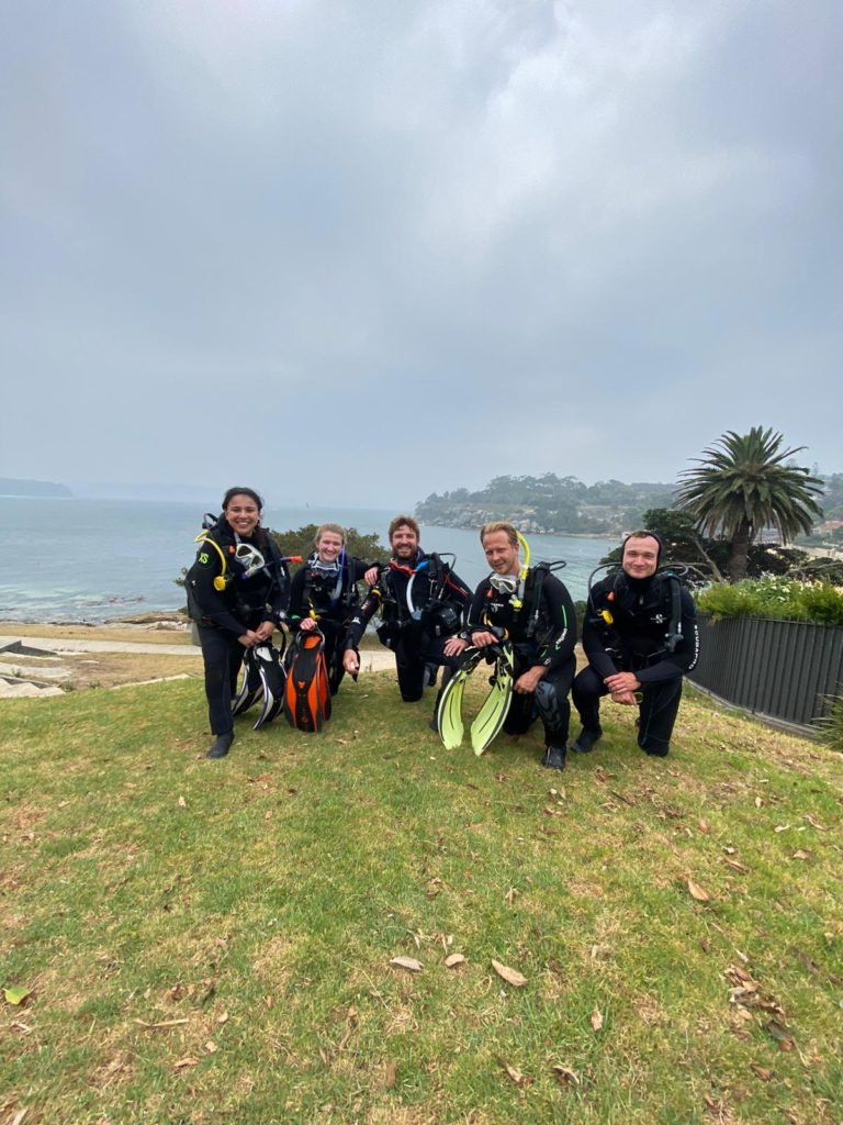 Here you should see some divers