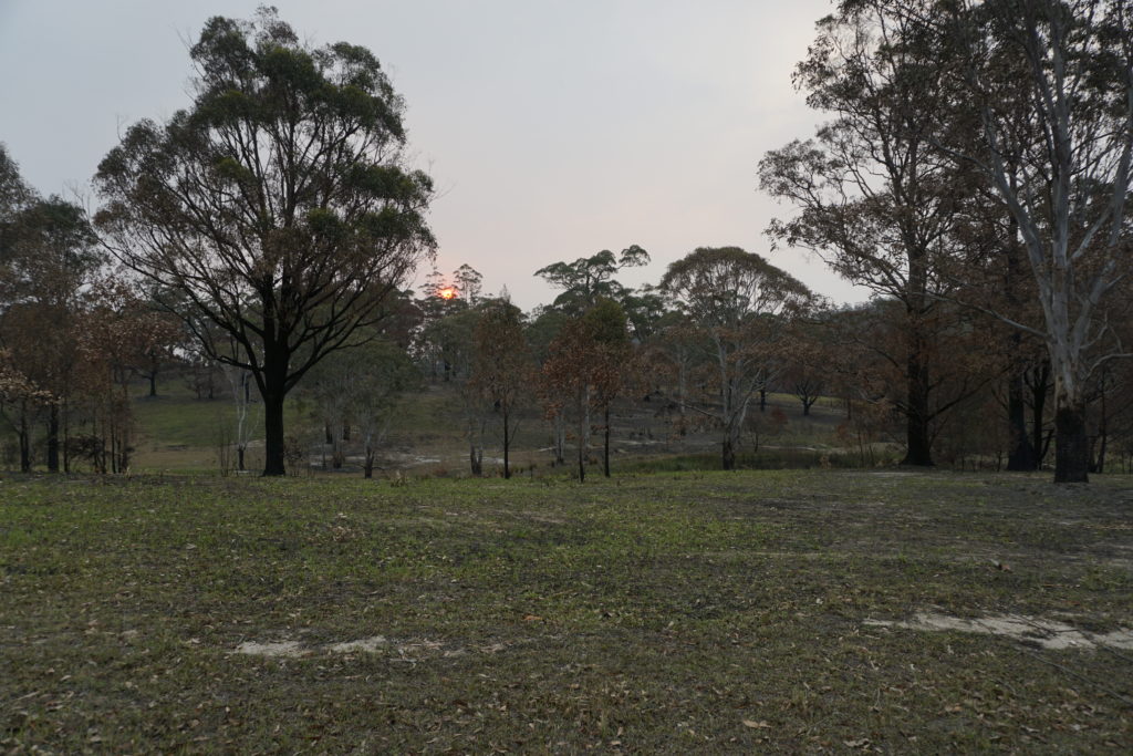 Here you should see a campsite
