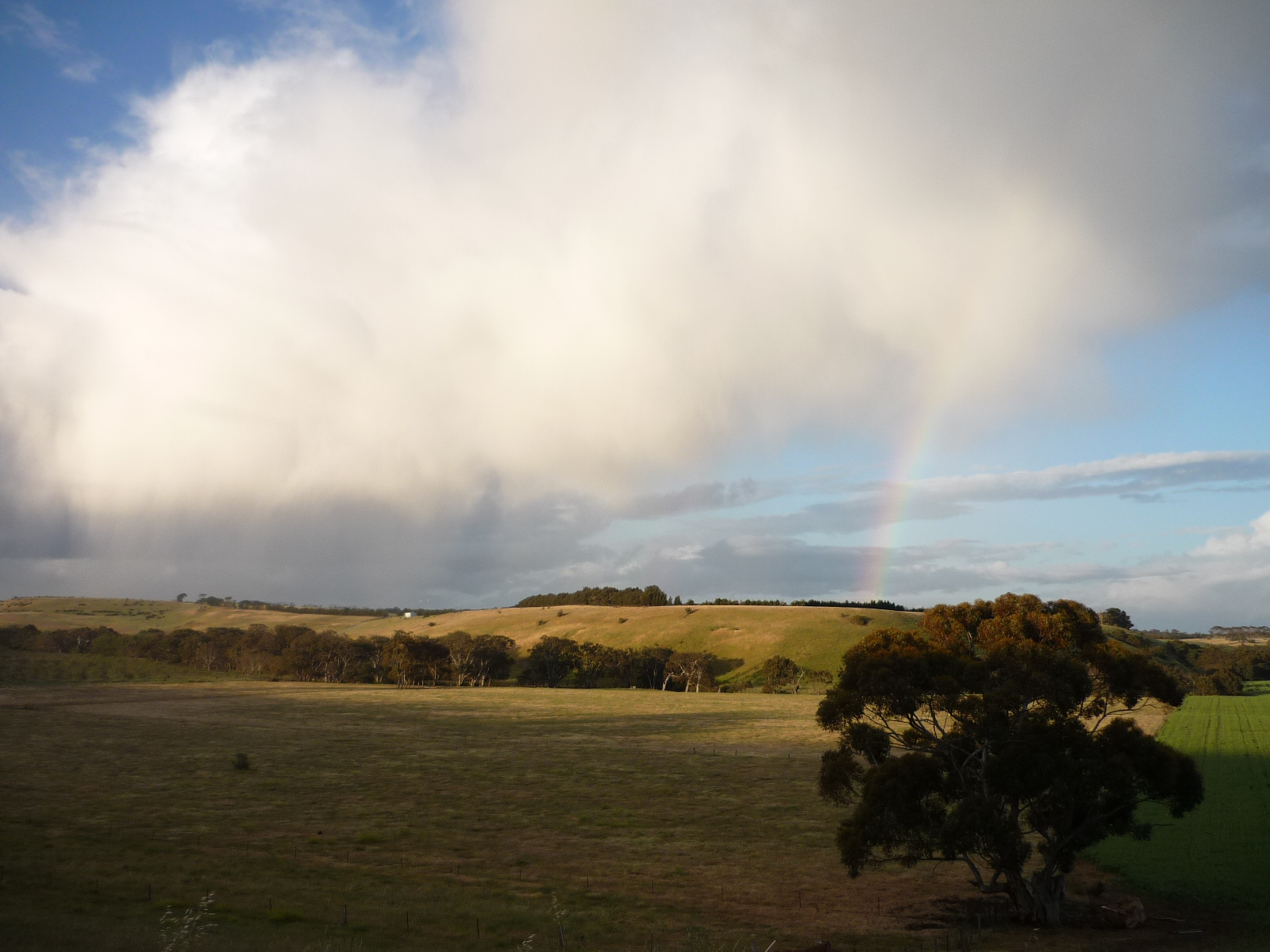 Picture of a landscape