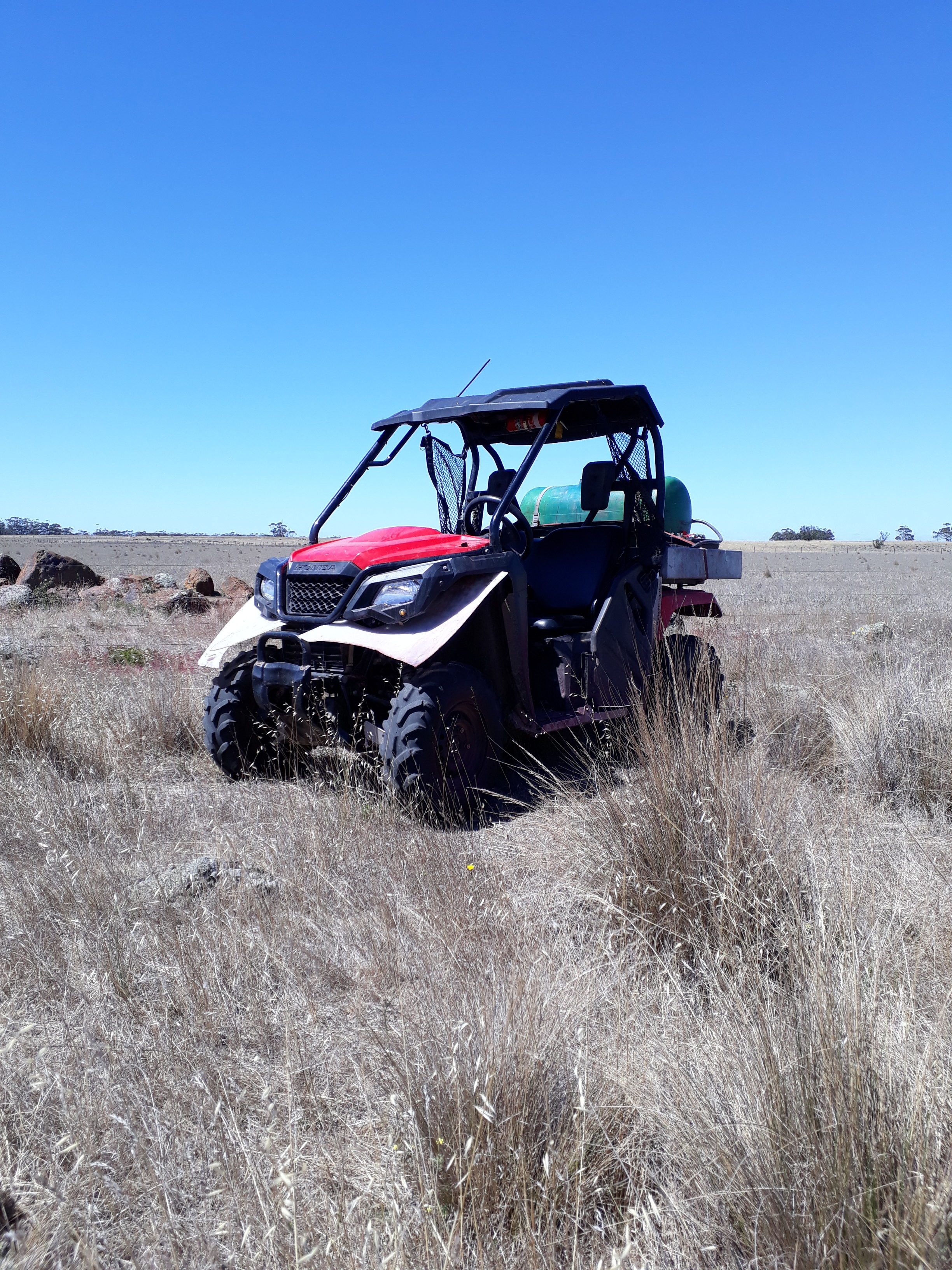 Here you should see a Honda-Buggy