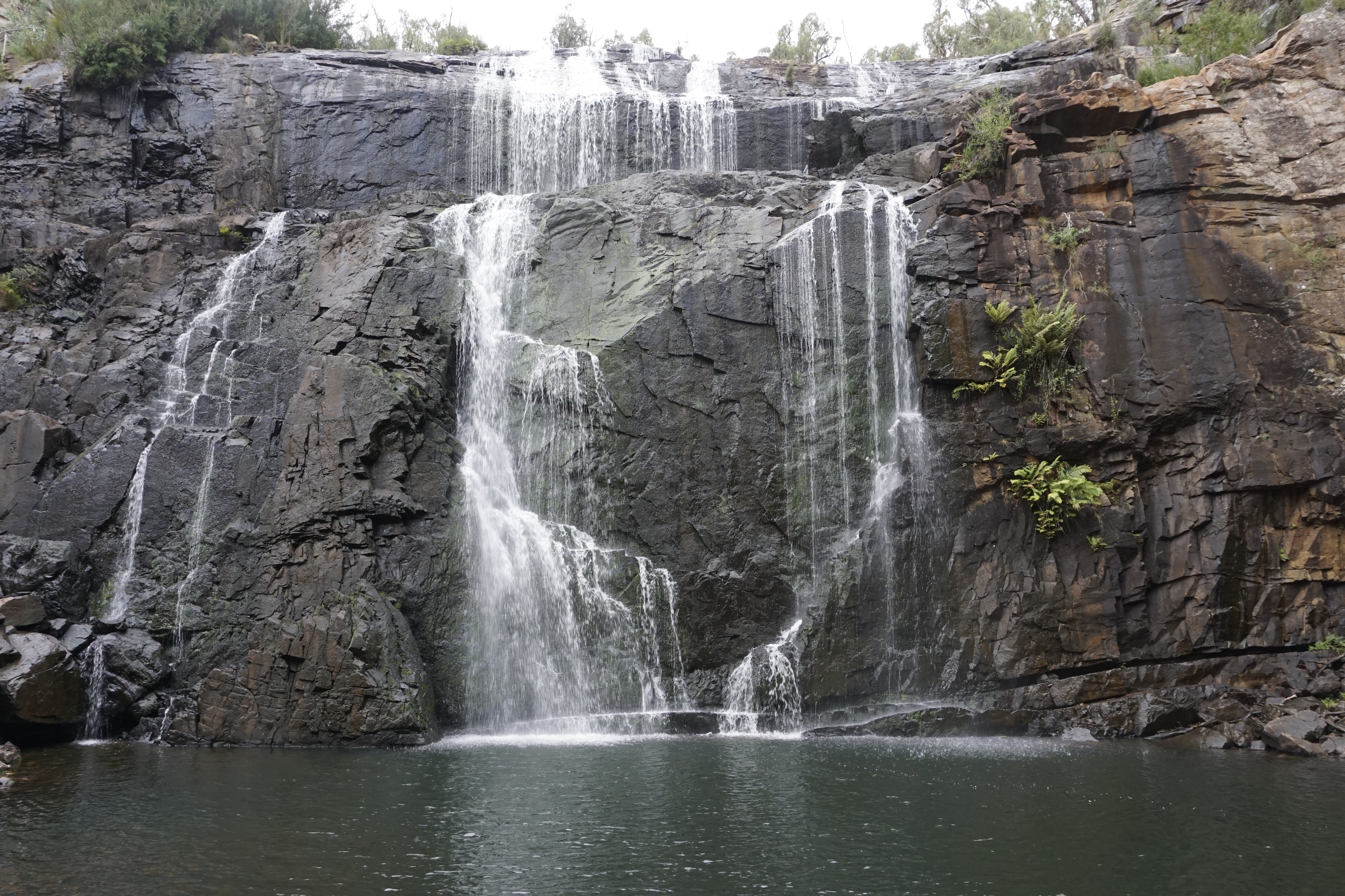 Picture of McKenzie Falls