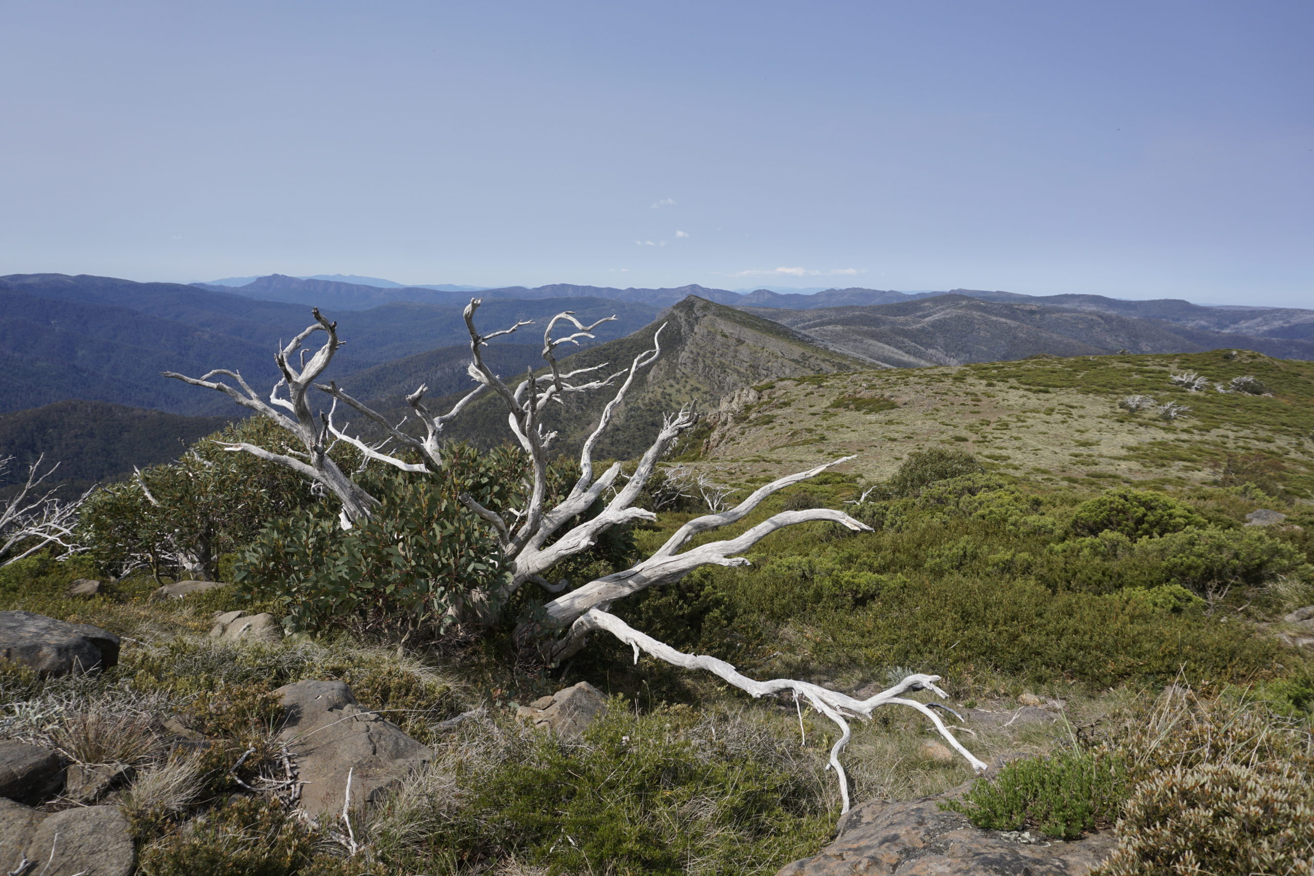 Here you should a view from Mnt. Bluff, Victoria