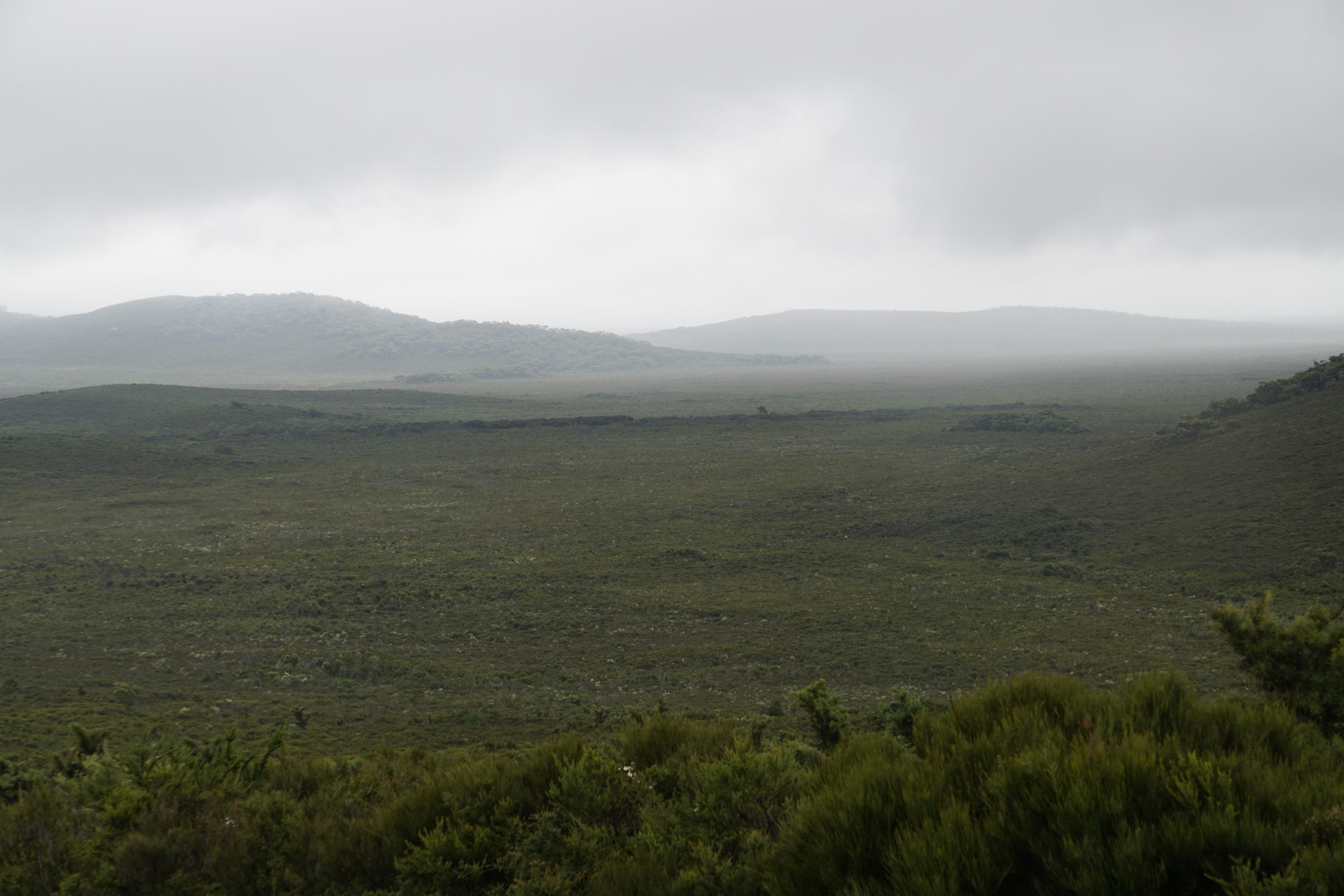 Here you can see a Wilson's Promontory NP