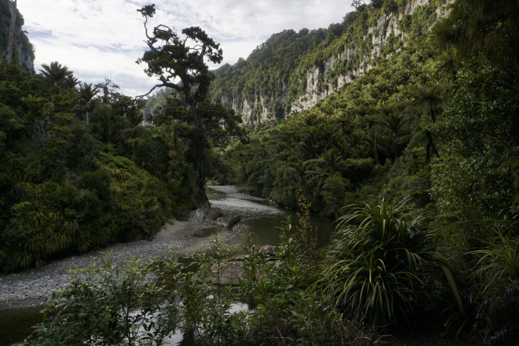 Pororari River