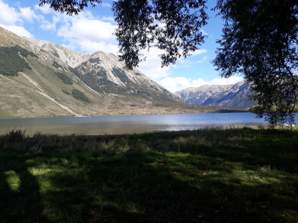 View Lake Pearson