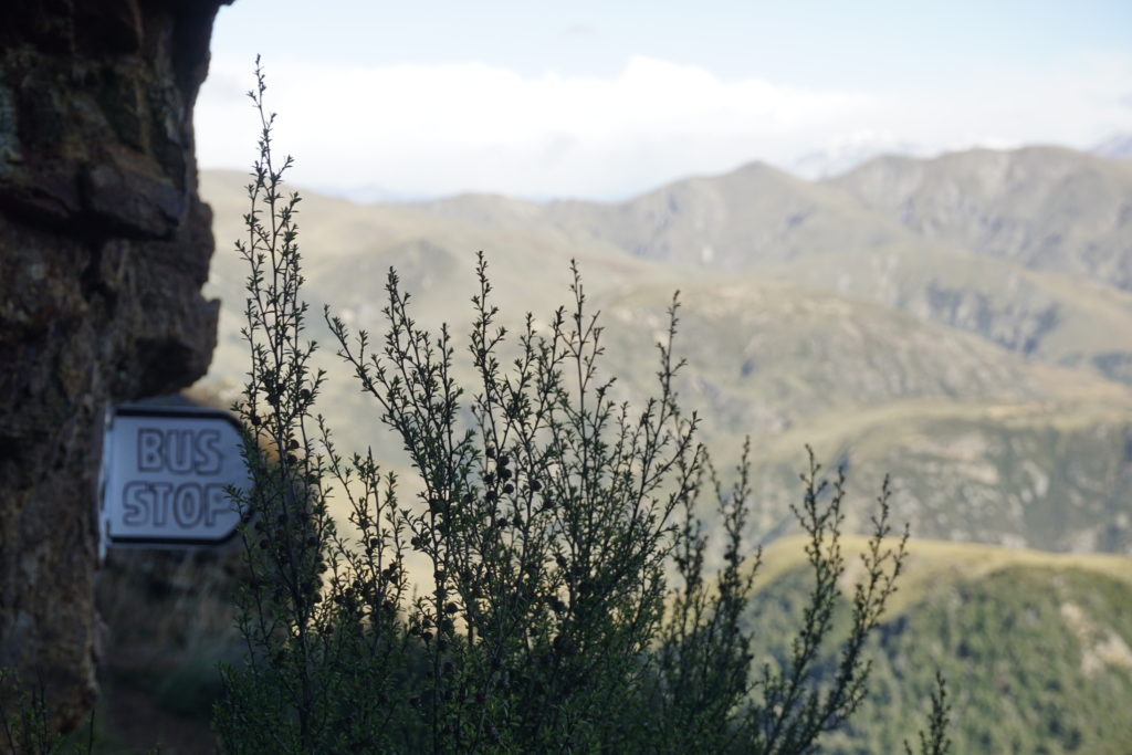Bus stop at Mnt. Somers