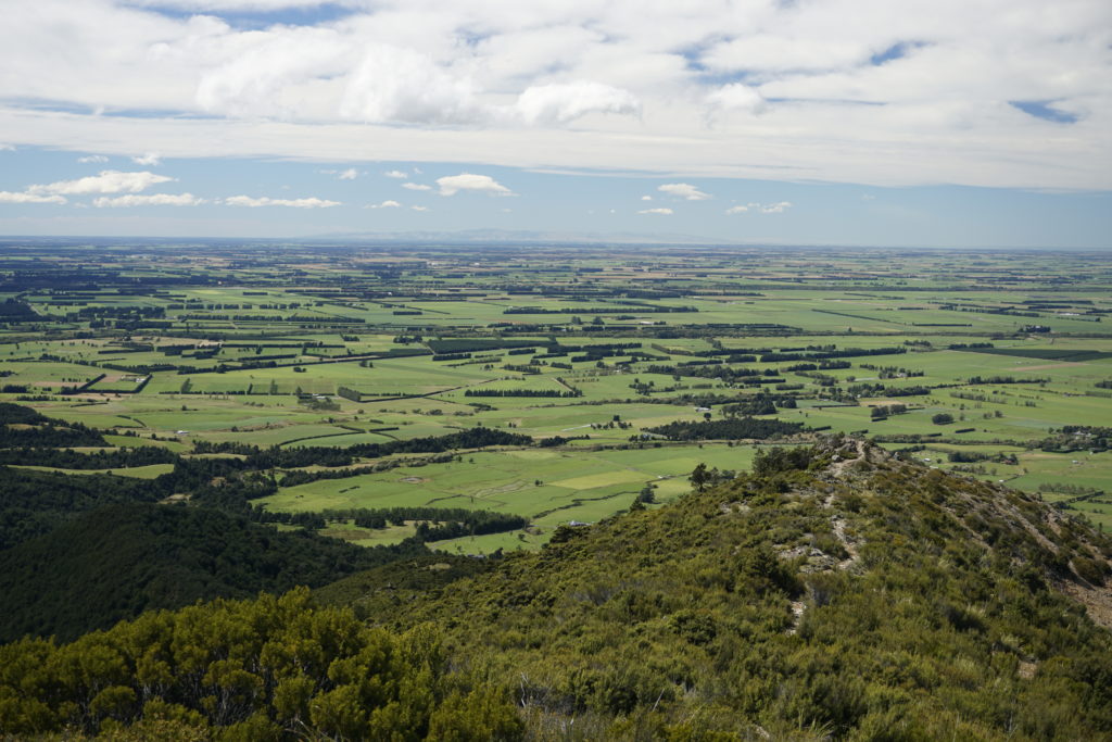 View to Canterbury Plains Mnt. Somers