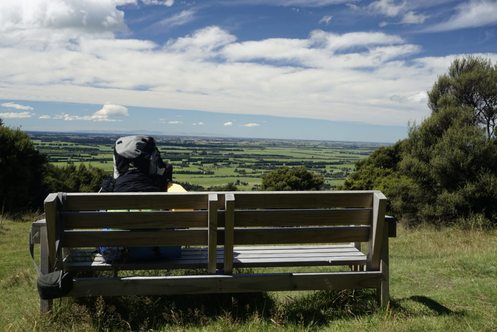A bench along Mnt Somers Track