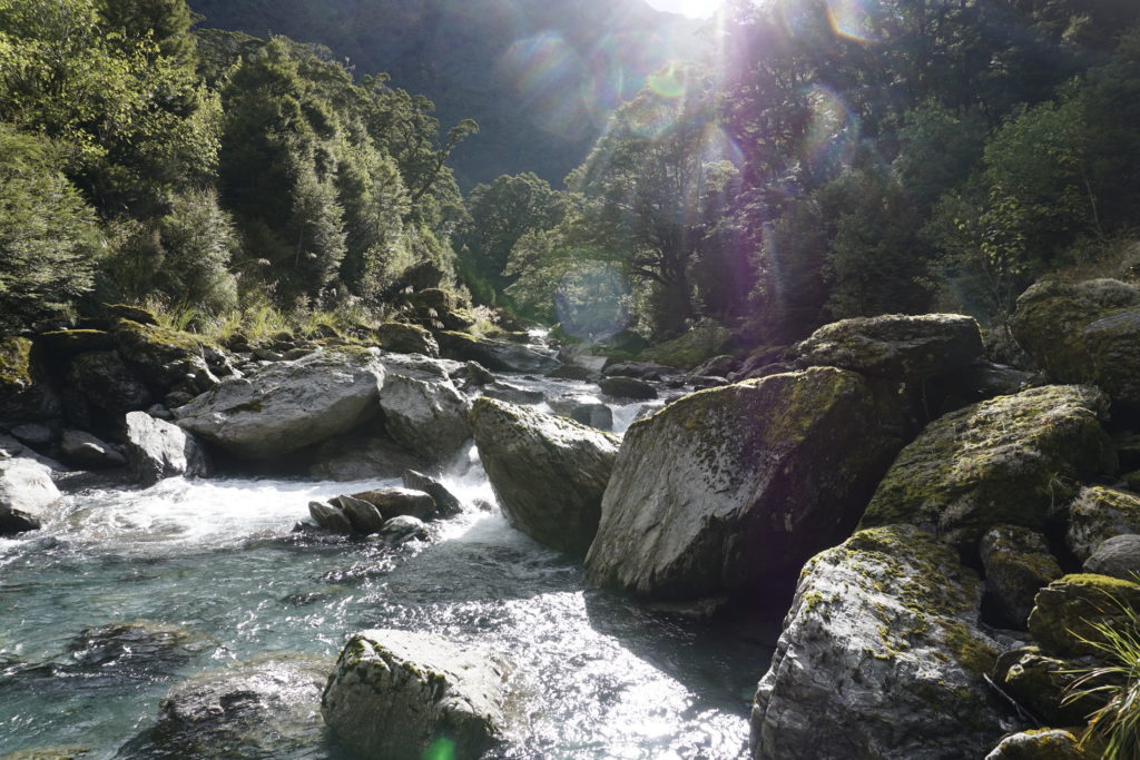 River along the Gillespie Pass Track