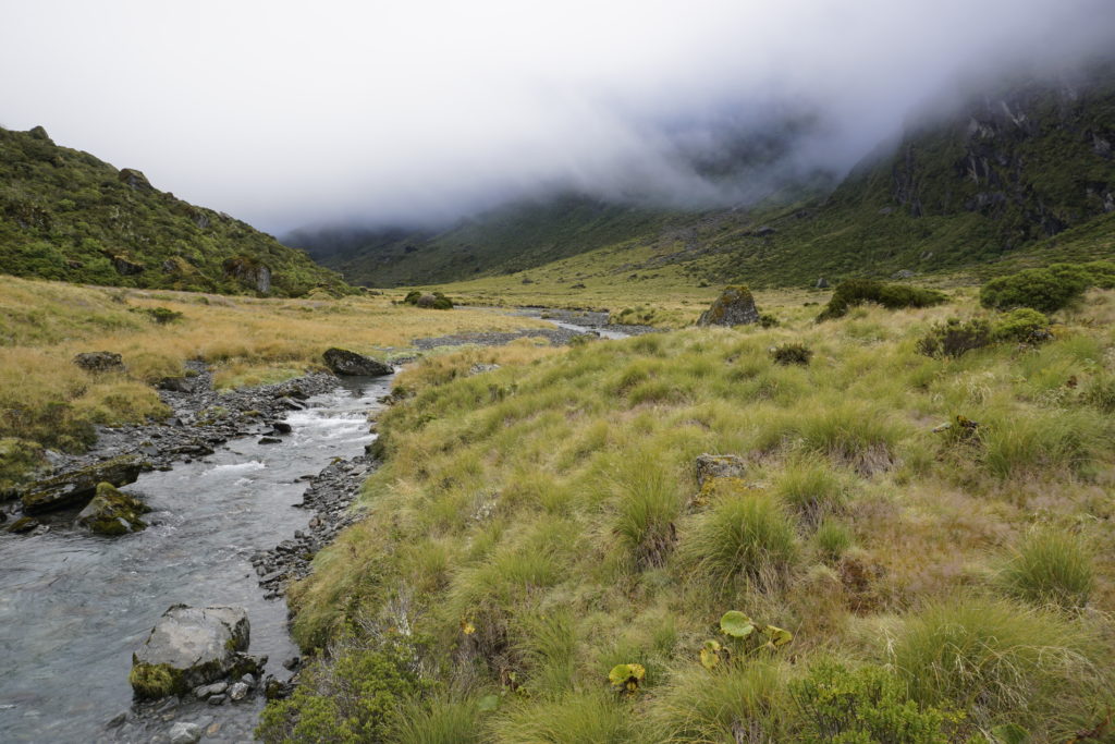 Valley with Young River before pass track