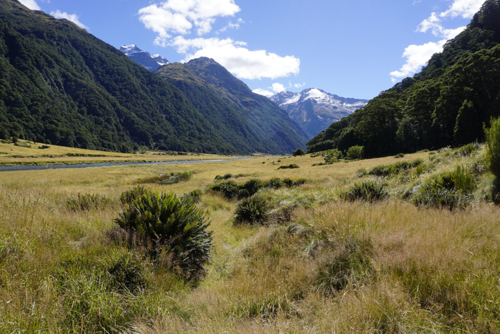 View to Mount Dreadful