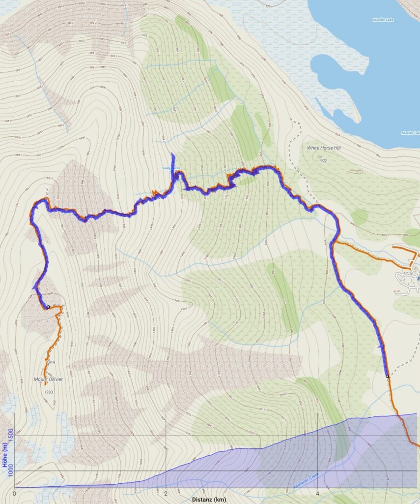Map Mueller Hut Track