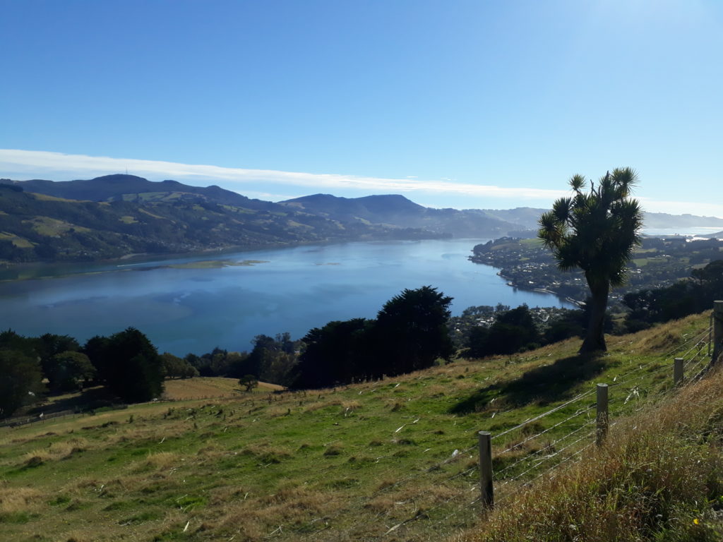 View Otago Peninsula