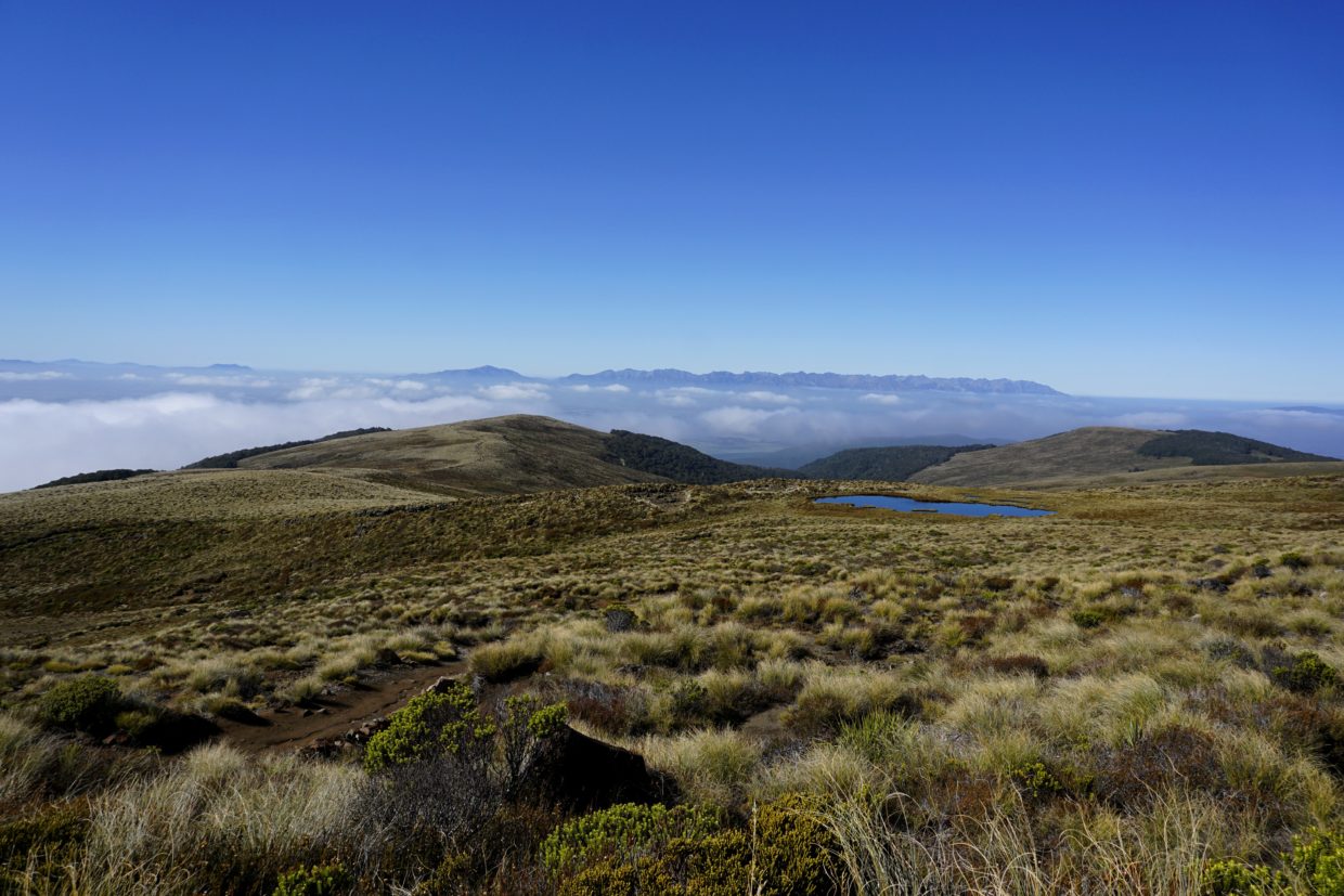 View back to Luxmore Hut