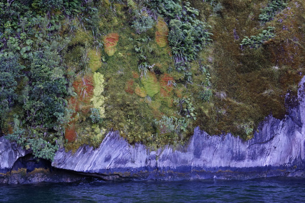 View along Milford Sound