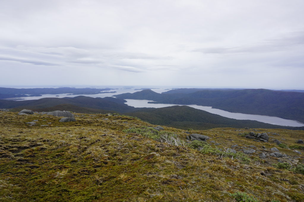 View from Mount Rakeahua