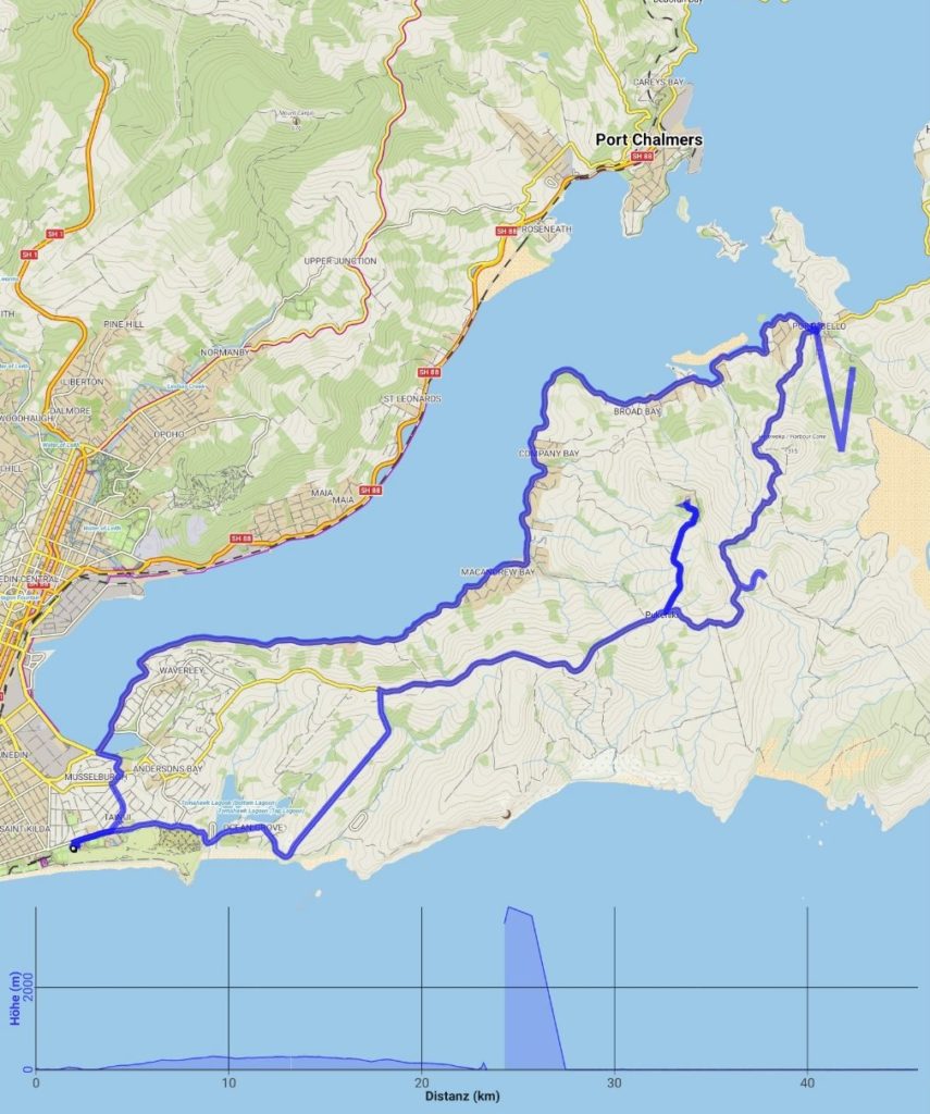 Day off: Otago Peninsula