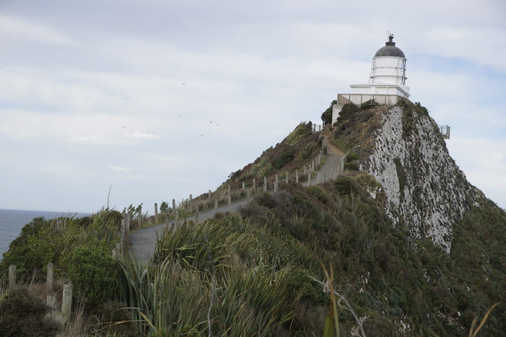 Nugget Point in Catlins