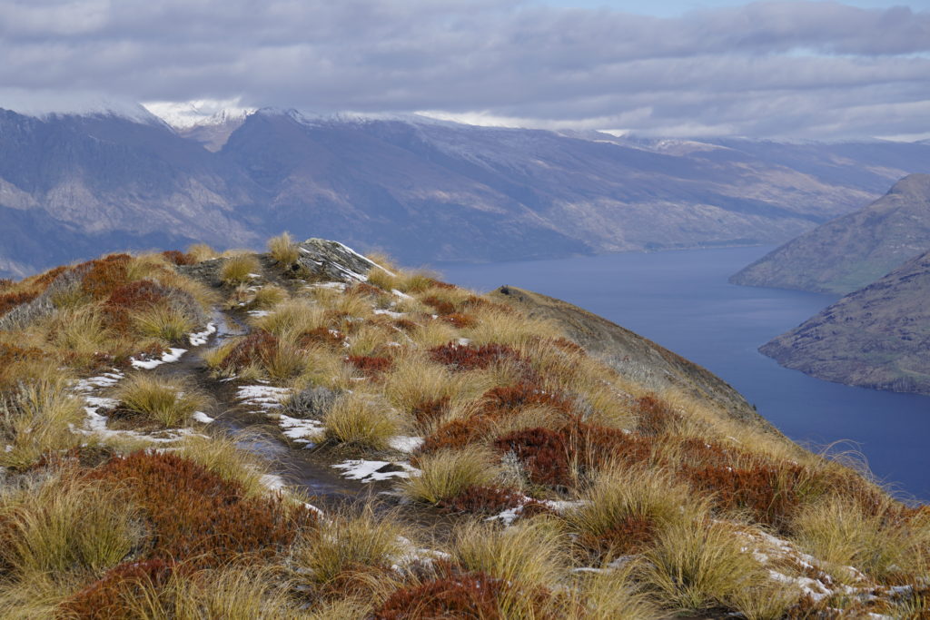 Ben Lomond Track