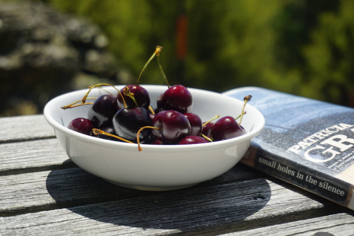 Still life with cherries in a bowl on a table outside with sun is shining from above thus there is a light shadow around the bowl