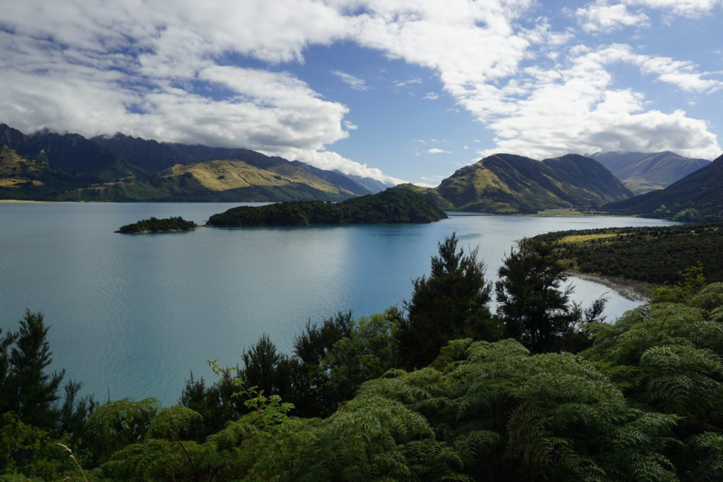 Dark green bushland next to a blue lake which is surrounding an small island