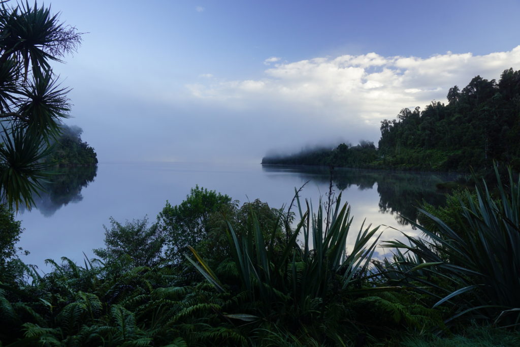 Early morning short after sunrise, it will be a sunny day with blue sky, the pictures shows a lake surrounded by bush a tall trees, morning mist is hanging over the lake and creates a slightly mystical mood