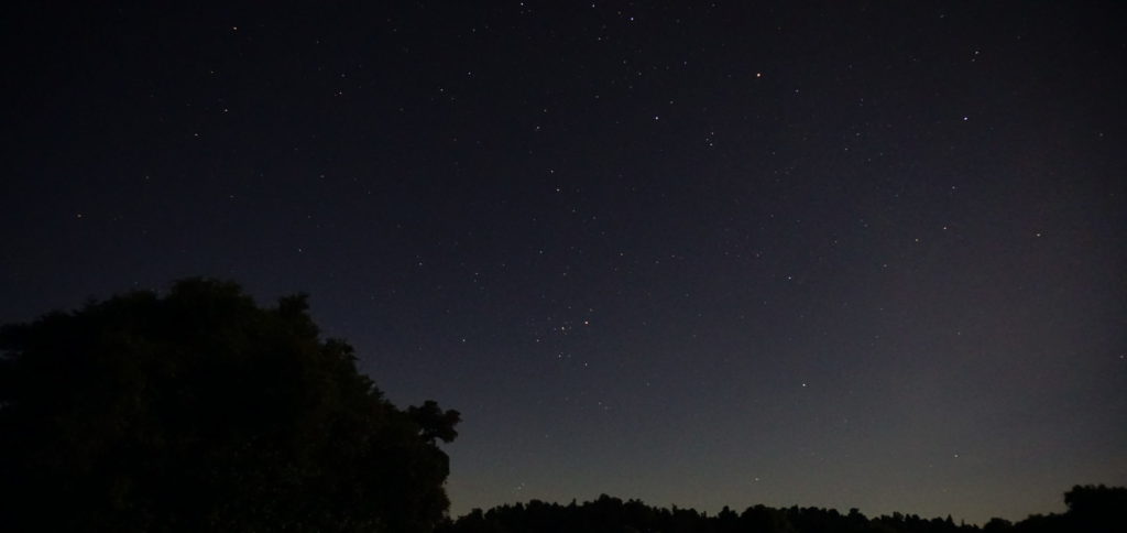 Night time, sky is clear and stars are visible, in front is still a treeline but the main part of the picture is sky, the observer can see the stellar constellations Orion, Bull and plejades, the plejades close to horizon