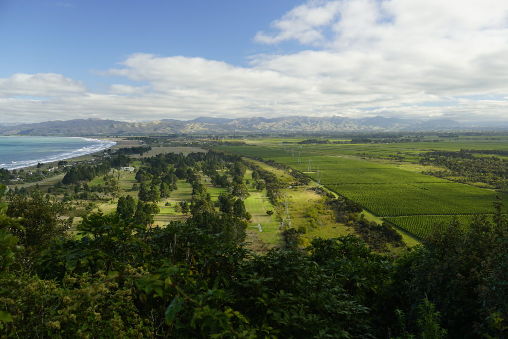 Blue sky, sun is shiining, view from a hill,in the distance a mountain skyline, in front a coastal scenery with the ocean and beach on the left and green trees, bushes and patches of vineyards on the right