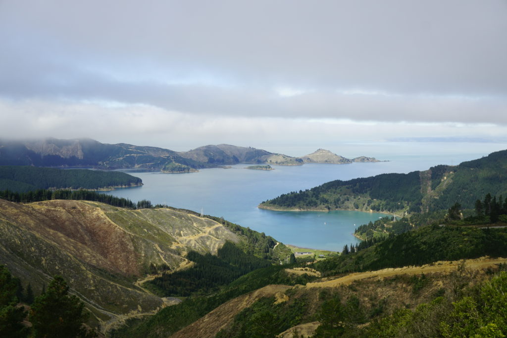 Blue sky, sun is shining, view from a hill, the picture shows an ocean inlet with the blue ocean in center touching the coast which kind of encircels the ocean, the coast is made of hills covered with forest and logging machines cutting off the trees