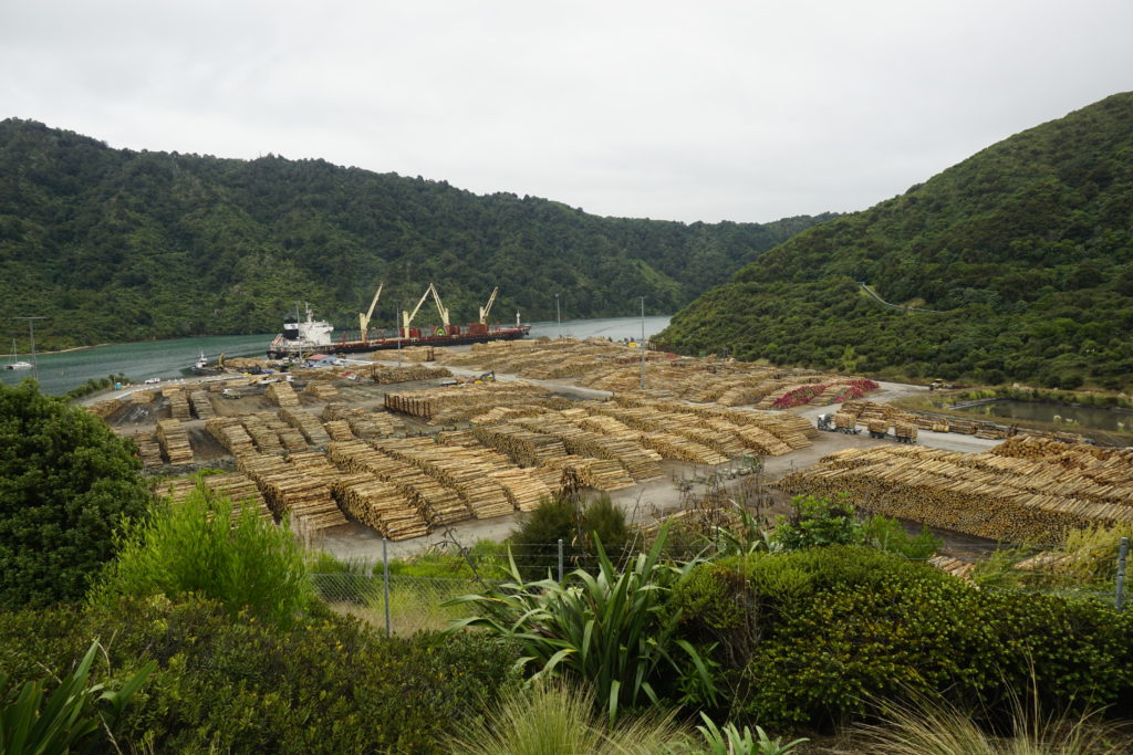 Sky overcast, view from a hill on a bay, a massive park of tree logs and a big ship, machines moving the tree logs on the ship