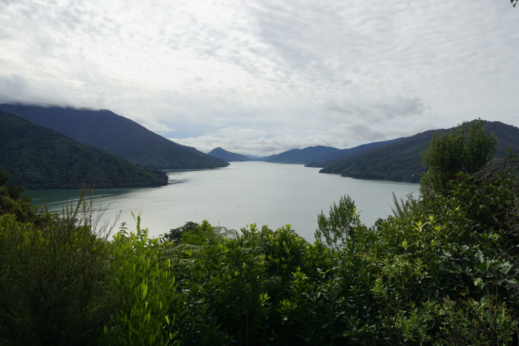 Sky clouded, view from a hill, the picture shows an ocean inlet with the ocean in center touching the coast which kind of encircels the ocean, the coast is made of hills covered with bush